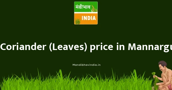 Coriander (Leaves) price